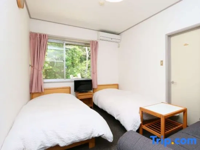 Standard Twin room with mountain view