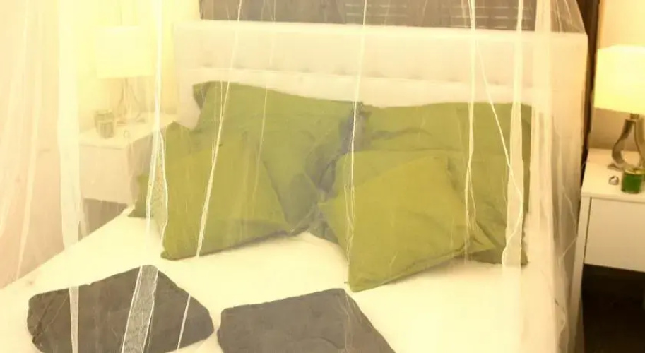 Apartment Via Del Corso504