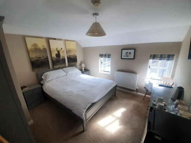 Deluxe Double room