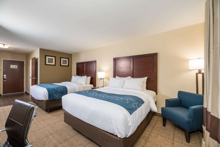 Standard Quadruple room