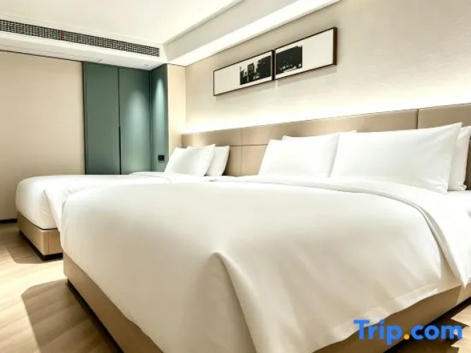 Deluxe Double room with city view