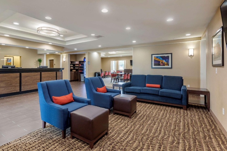 1 Bedroom Suite