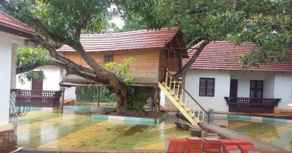 Mango Resorts