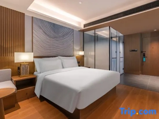 Deluxe Double room with city view