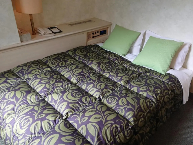 Hotel A.P