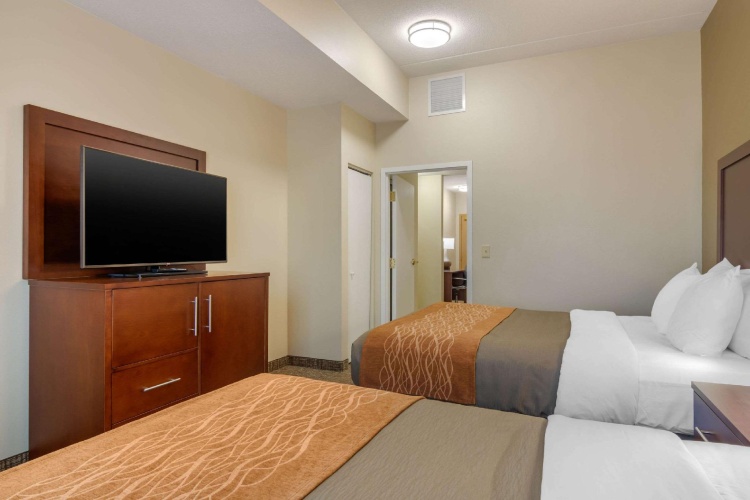 Quadruple Suite