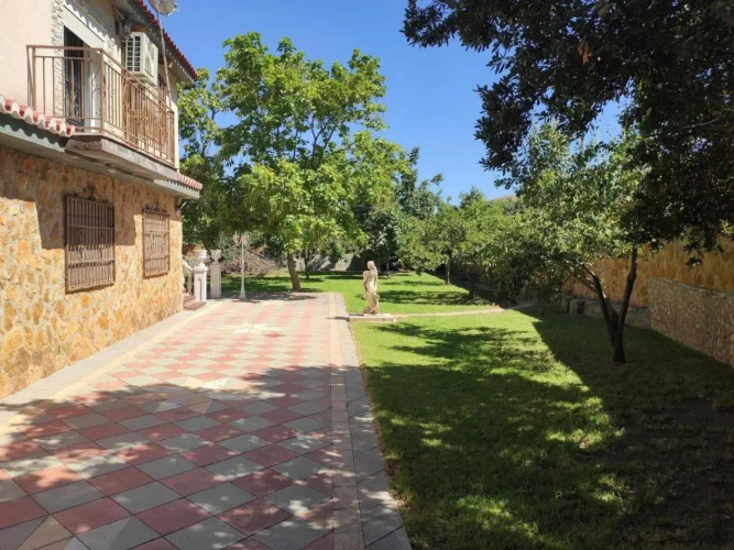 Finca bellas vistas