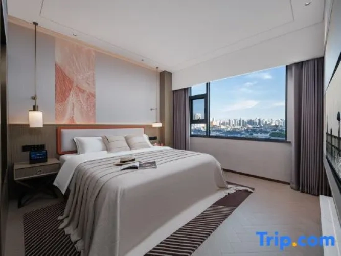 1 Bedroom Suite