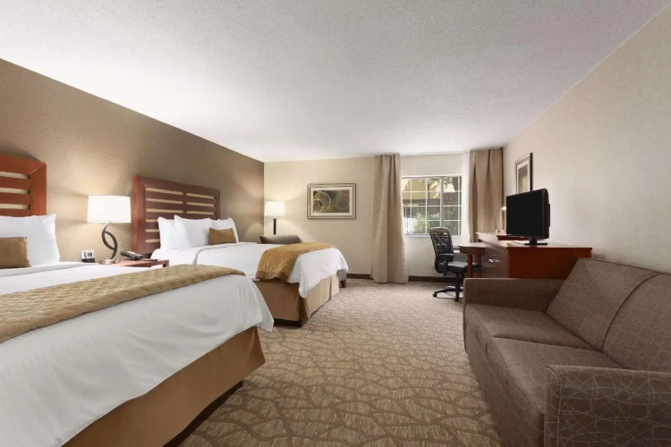 Quadruple Suite