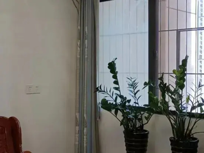 Nanning Xiyangyang B&B