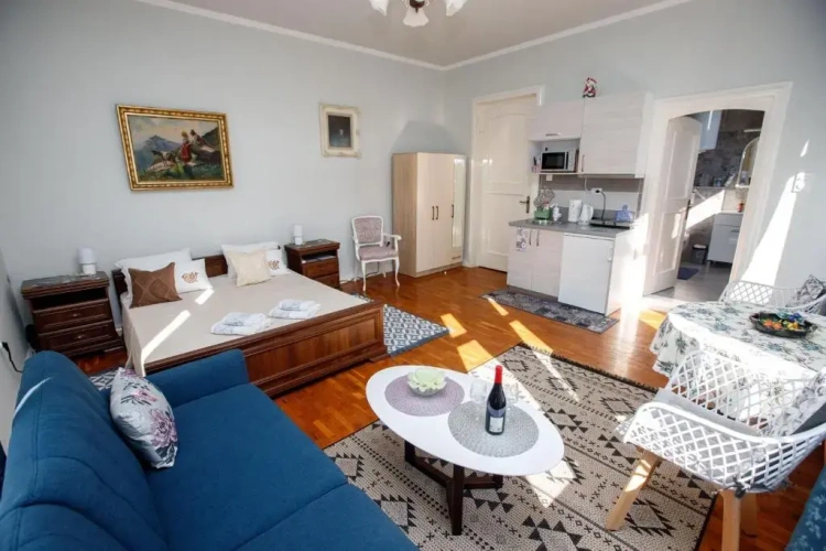 1 Bedroom Apartment