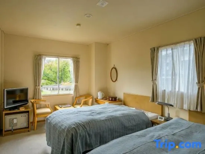 Economy Twin room