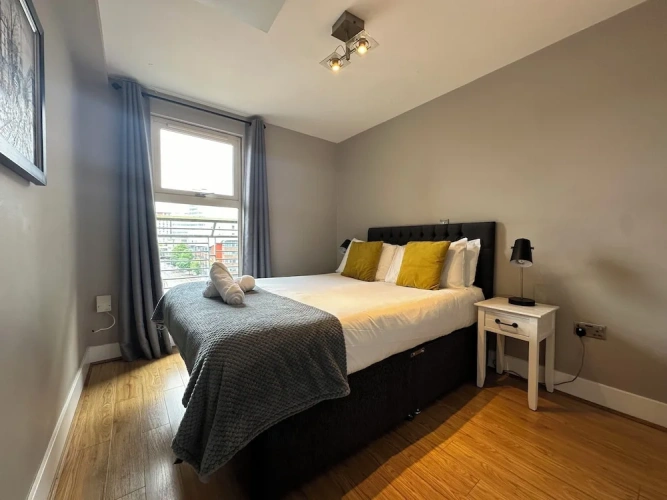 Deluxe Apartment