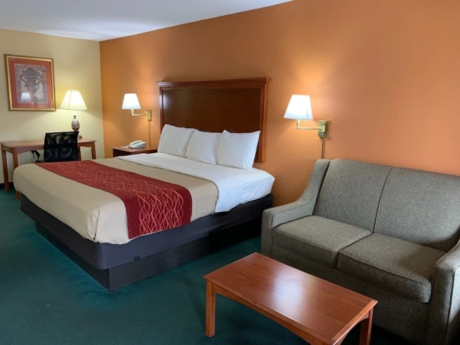 Executive Single room