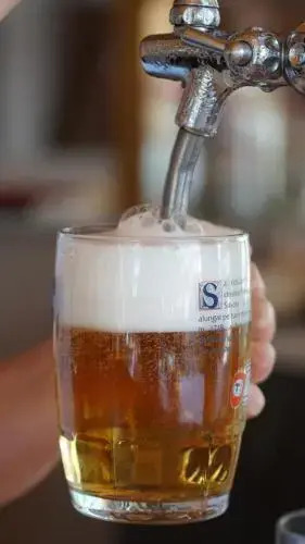 Hotel VioletaOver view