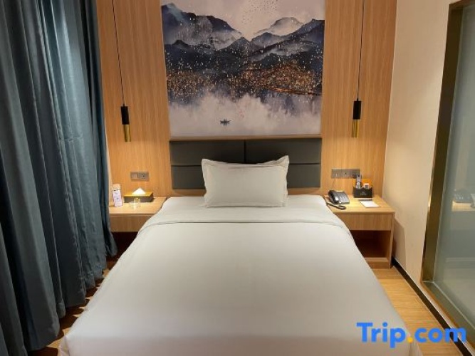 Deluxe Twin room with city view