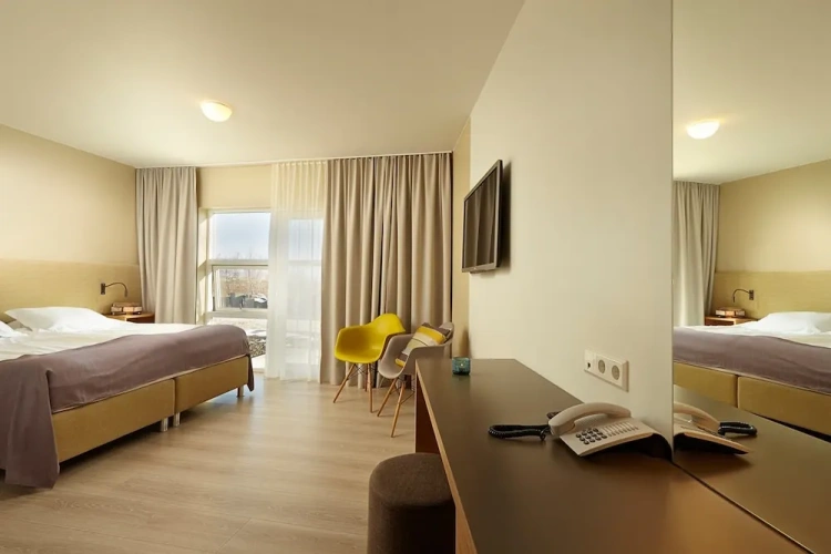 Standard Double room with mountain view