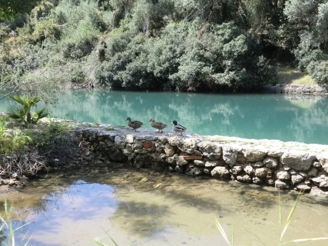 Villa Paradisino