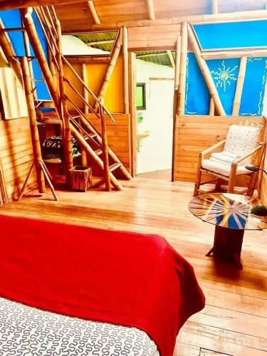 Standard Twin room with balcony and with garden view