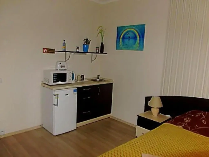 Studio with balcony