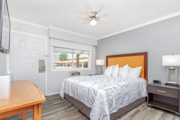 Comfort Double room with courtyard view