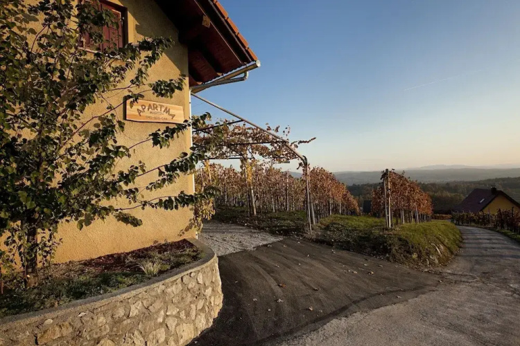 Vineyard Cottage Brodaric