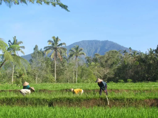 Prana Dewi Mountain Resort