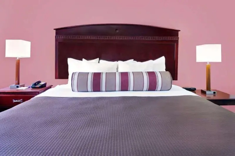 Executive Inn Dumas