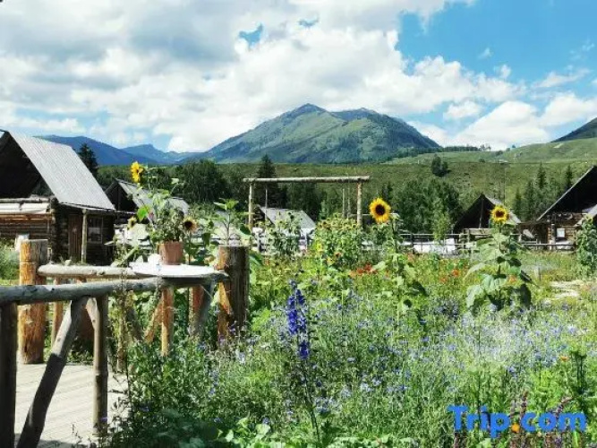 Hemu Dome Inn