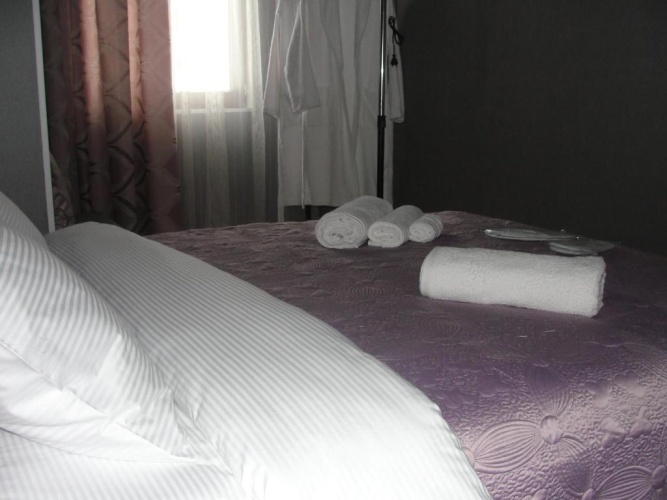 Standard Double room with mountain view