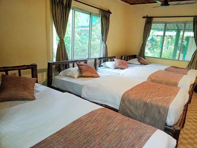 Standard Double room with balcony and with view