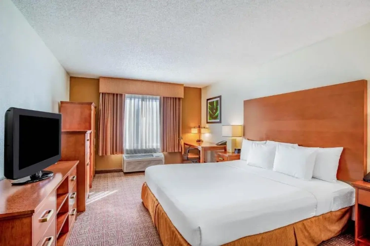 Standard Double room
