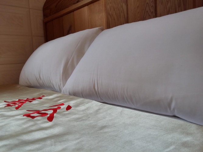 Standard Double room with mountain view