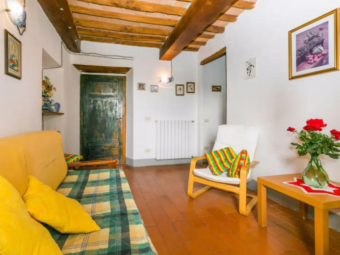 Giuggiolo 6