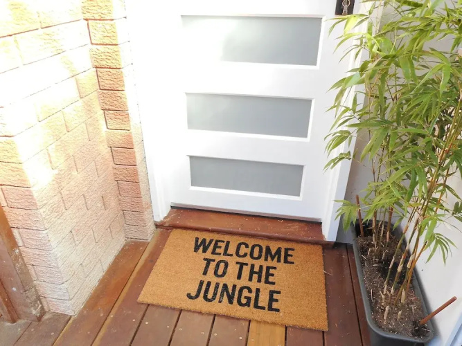 The Little Jungle Studio