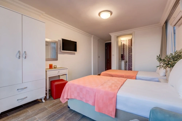 Standard Twin room with garden view