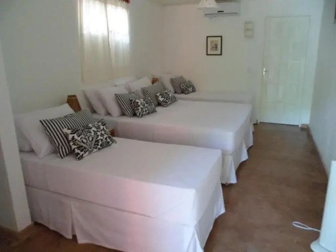 Standard Suite