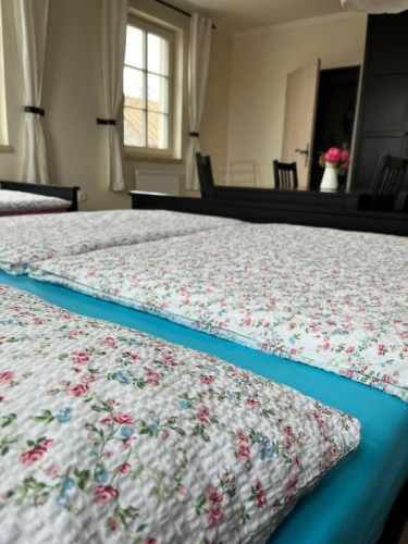 Standard Double room with view