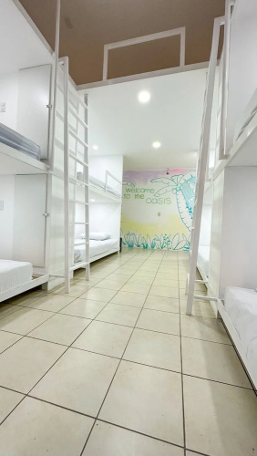 SJO Oasis Hostel