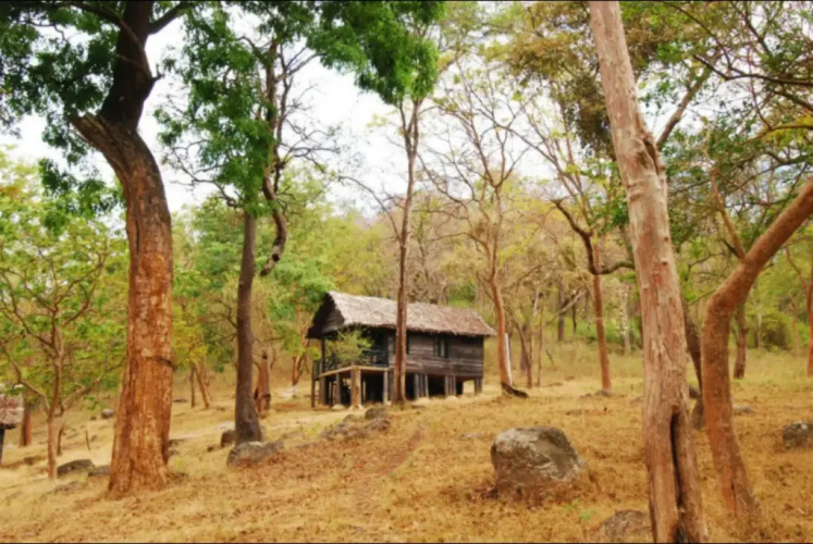 K. Gudi Wilderness Camp
