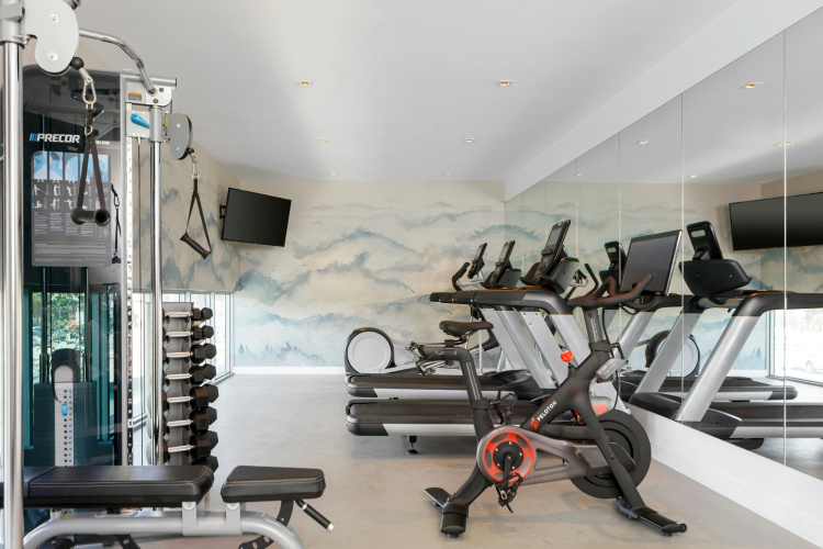 Kimpton Hotel Palomar South Beach photo 21