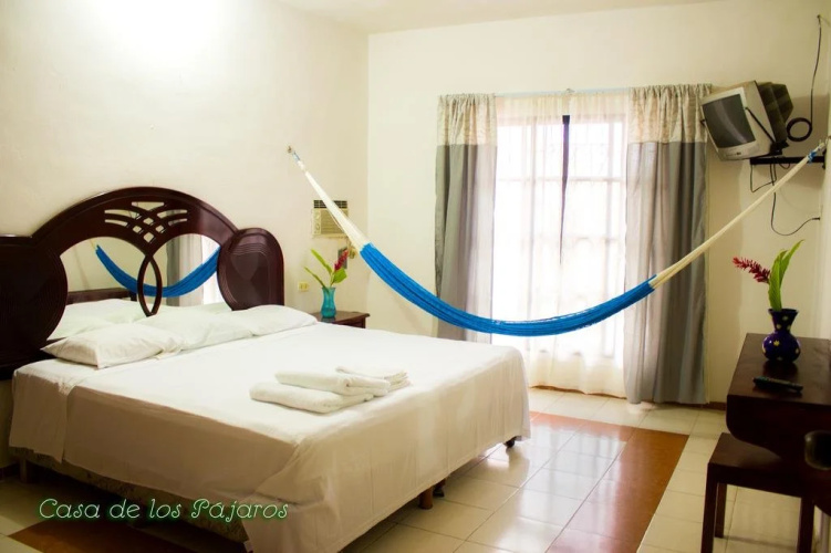 Casa De Los Pájaros - B&B
