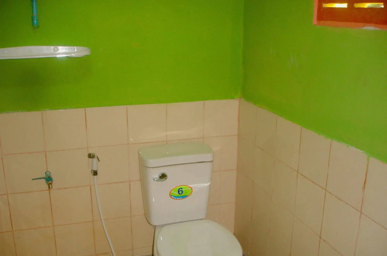 Jungle Zone - Hostel