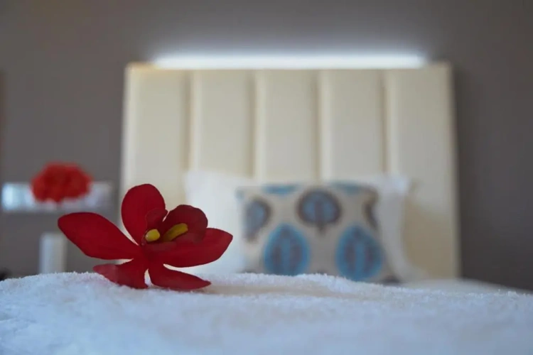 Twin room