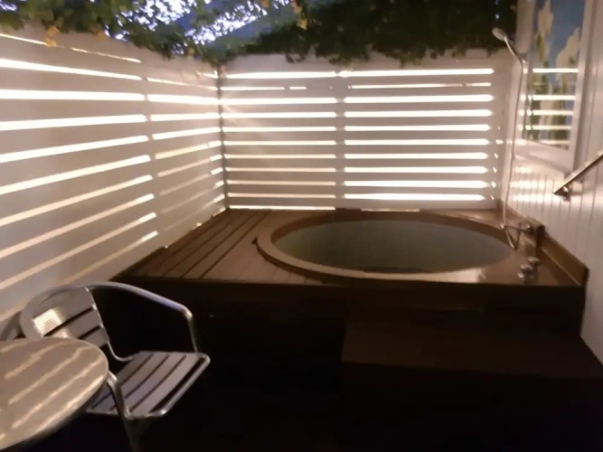 Deluxe Double Basement Studio