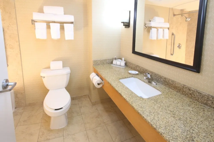 1 Bedroom Suite