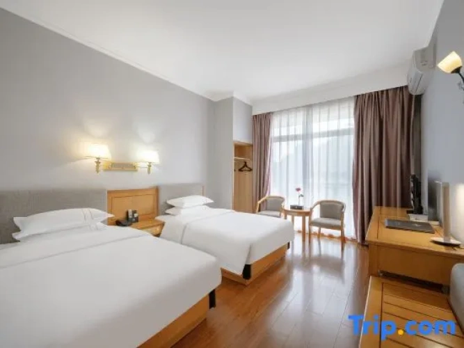 Executive Quadruple Suite