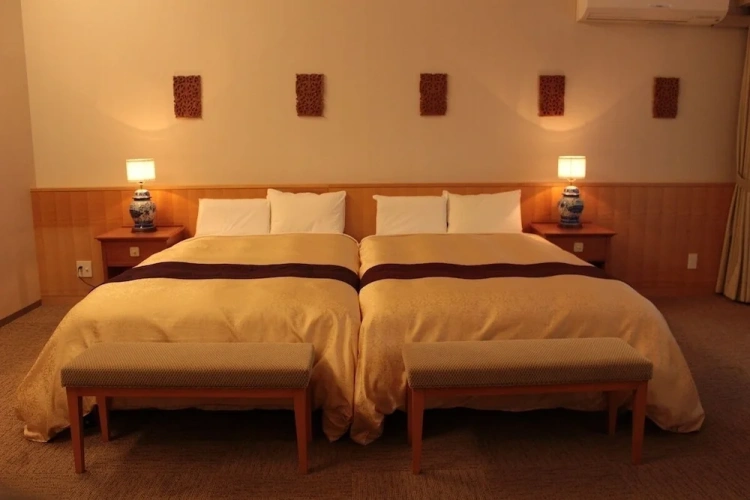 Twin Junior Suite