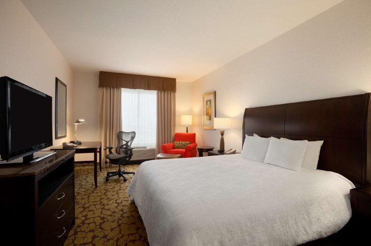 1 Bedroom Double Suite