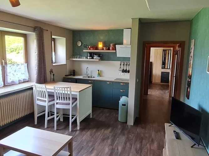 Deluxe Apartment